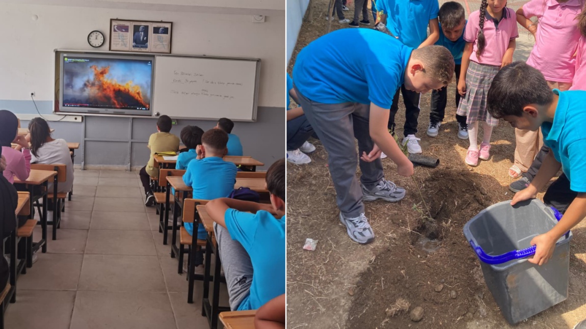 Her Çocuk Bir Fidan, İlk Dersimiz Yeşil Vatan